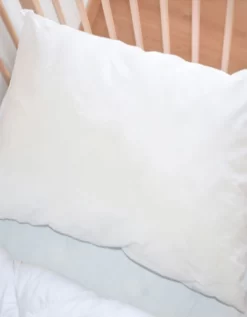 Oreiller Extra Plat Enfant Coton Biologique