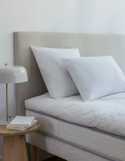 Oreiller Antiacarien Dodo® Proneem® Moelleux