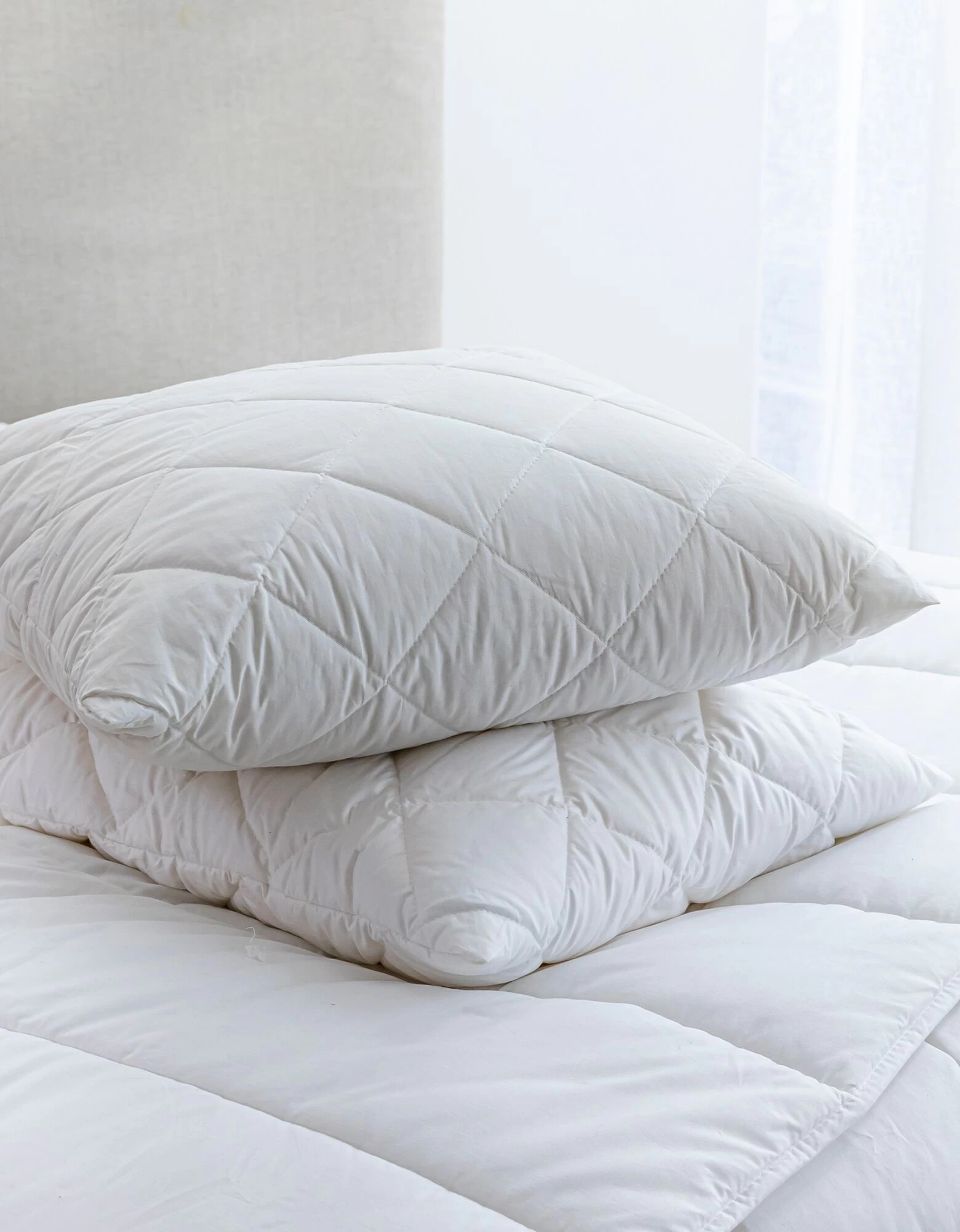 Oreiller Mémoire De Forme F.A.N.® Antibac Ferme 2 Oreiller Mémoire De Forme F.A.N.® Antibac Ferme – Image 2