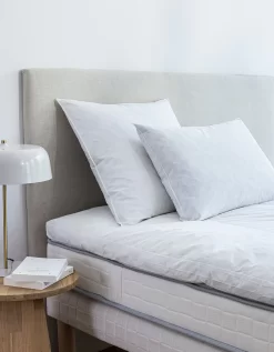 Oreiller Plumes En Lot De 2