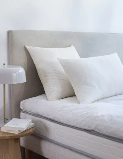 Oreiller Qualité Hôtellerie Lavages Intensifs