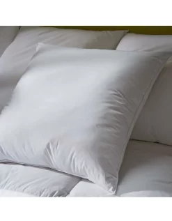 Oreiller Duvet Et Plumettes Enveloppe Coton Antitaches - 800g