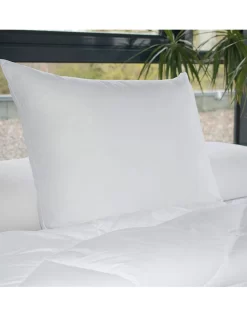 Oreiller Anti-transpiration En Microfibre Passerelle® Confort Ferme