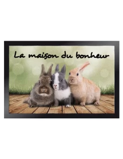 Tapis Anti-poussière Motif Lapins