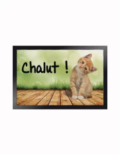 Tapis Anti-poussière Motif Chatons