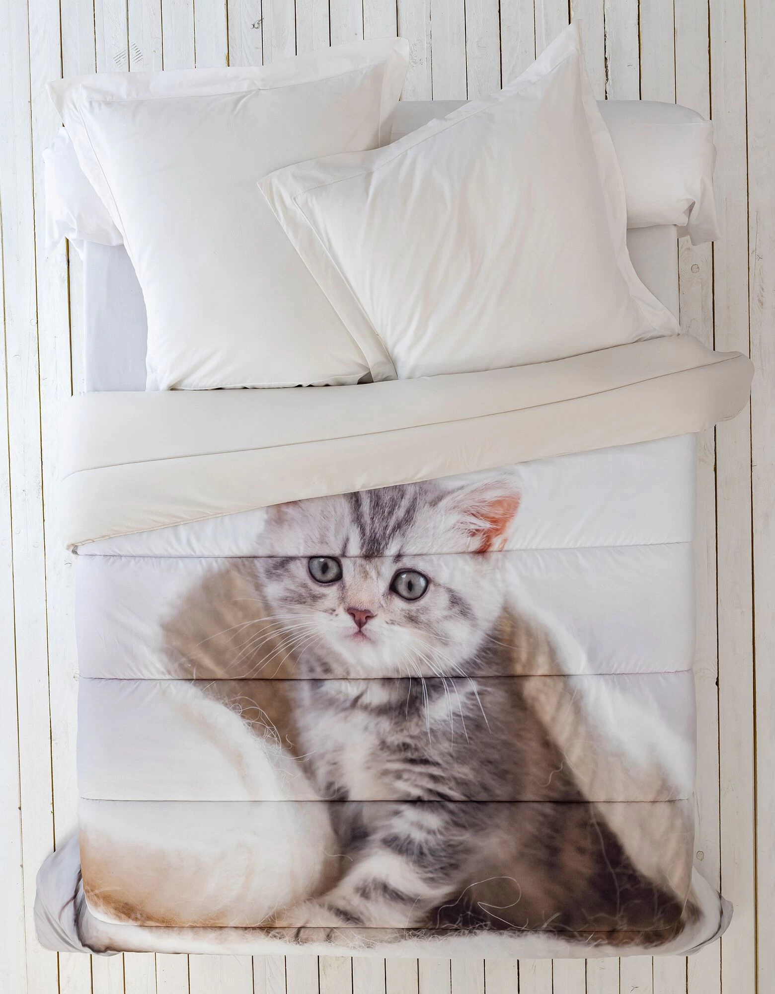 Couette Microfibre Imprimée Chaton - 200g/m² 2 Couette Microfibre Imprimée Chaton - 200g/m² – Image 2