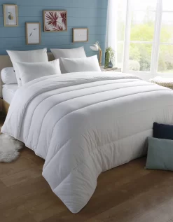 DODO Couette Anti Punaises De Lit Et Antibactérien - 300g/m2 -Valeurs des doublures de lit. 320687 C01 zoomx vue3