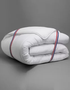 DODO Couette Anti Punaises De Lit Et Antibactérien - 300g/m2 -Valeurs des doublures de lit. 320687 C01 zoomx vue4